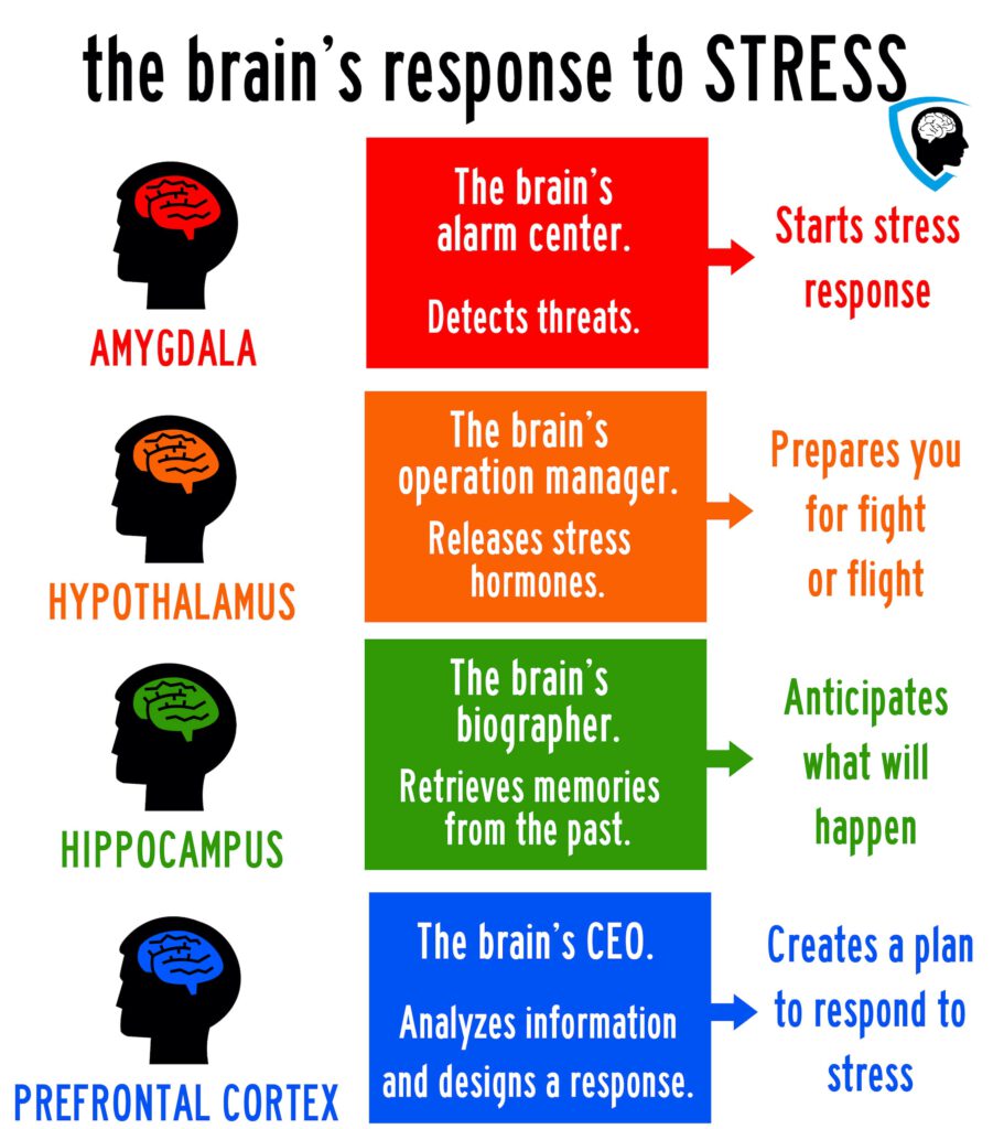 Epex Mind stress factoren 