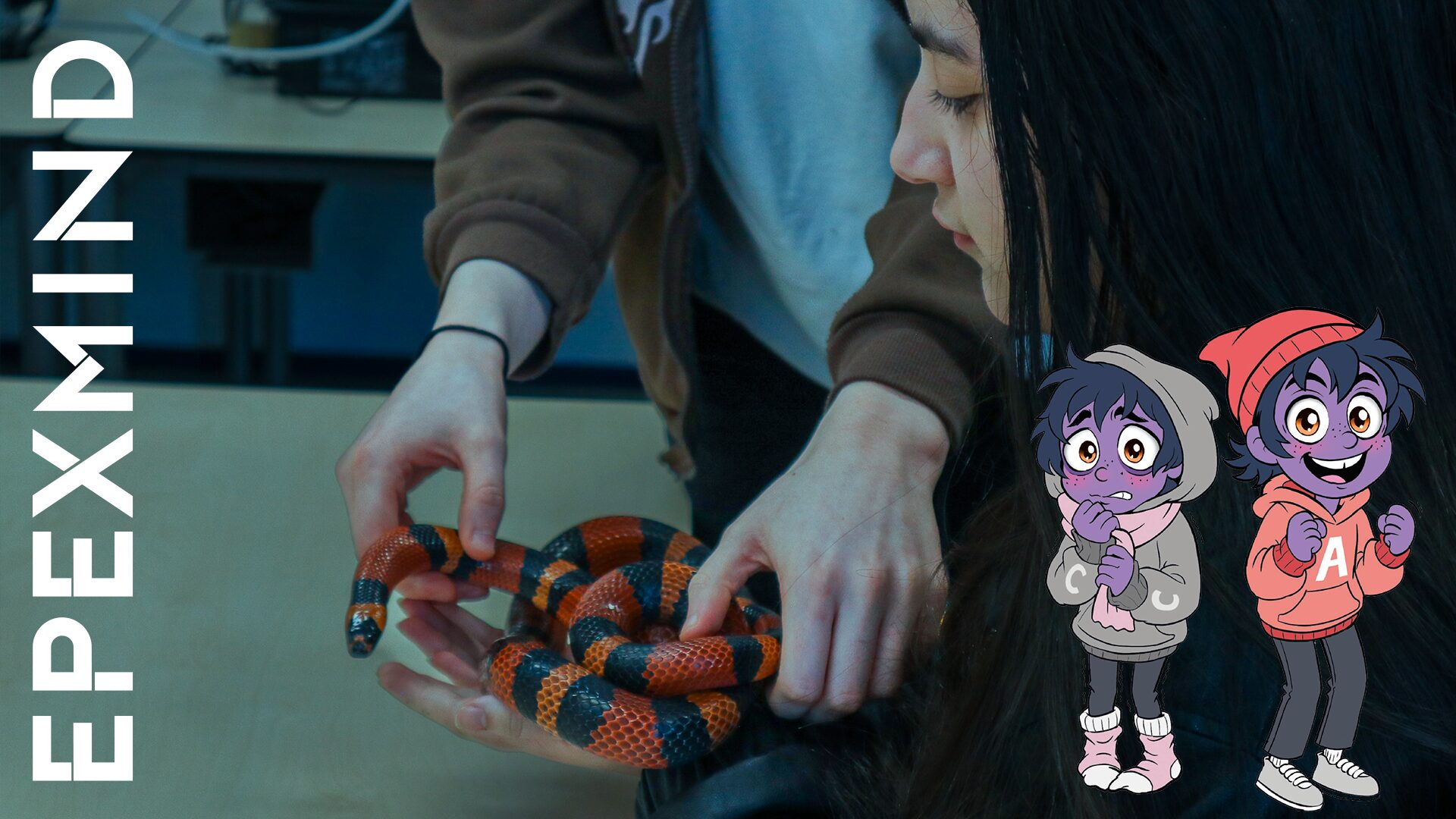 png stressd Stress focus