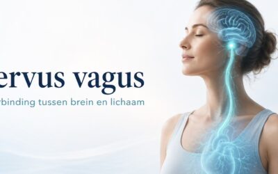 De nervus vagus: wat is het en waarom is het de belangrijkste zenuw van je lichaam?