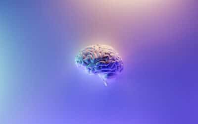 Neuroplasticiteit: je brein verandert elke dag